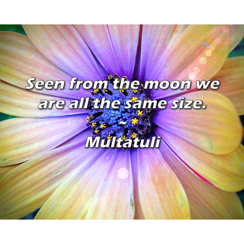 Citation de Multatuli: vu de la lune, nous sommes tous de la même taille., H 26 po x l 32 po