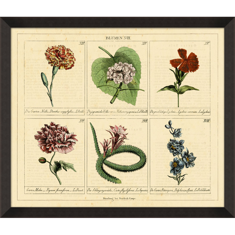 Blumen N III Print