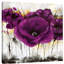 « pavot mauve iii », reproduction d’impression sur toile tendue-31385712
