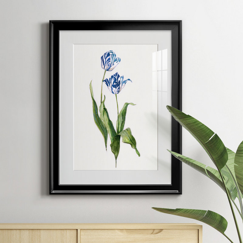 Peinture botanique bleue vive II, Noir, H 18,5 po x l 24,5 po x P 1,5 po