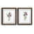 Walnut Framed Paper is unavailable
