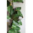 Magnolia Leaf Garland 60"
