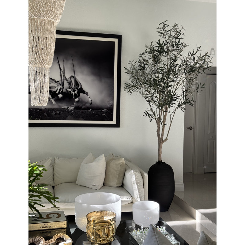 Artificial Olive Tree In White Konos Vase, Black