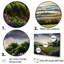 «Vineyard Charm», impression sur toile-97049056-134202173