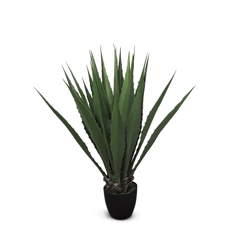 Fausse agave botanique au fini vert, H 40 po x l 17 po x P 17 po