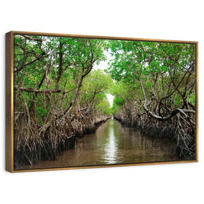 Everglade City Mangroves