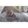 Cobien Oriental Indoor Rug