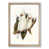 Oak Framed selected