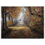 Reproduction d'animaux sur toile tendue, "Deer in the Park"-29502847