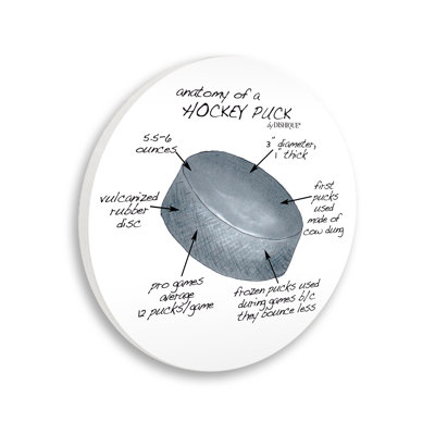 Informational Hockey Puck Sports Learning Chart Diagram by Dishique - Unframed Graphic Art on Wood