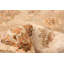 Tapis beige en laine noué à la main de conception unique 9 pi New Age