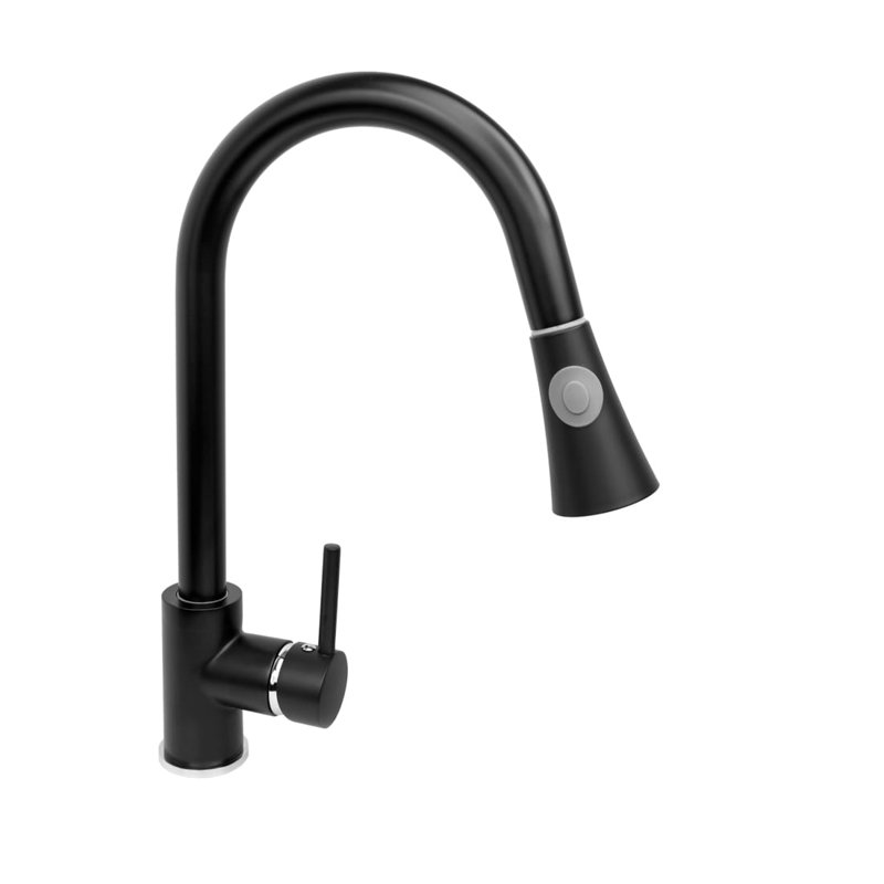Belfry Kitchen Stanhope Kitchen Faucet, Black