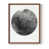 Brown Single Picture Framed