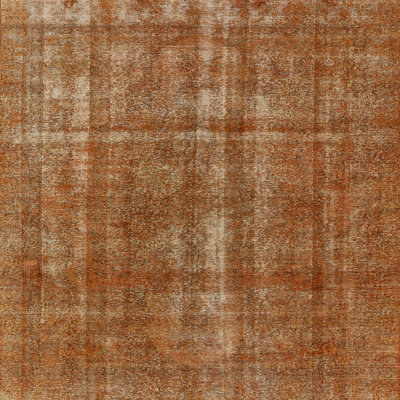 Janik Oriental Indoor Rug