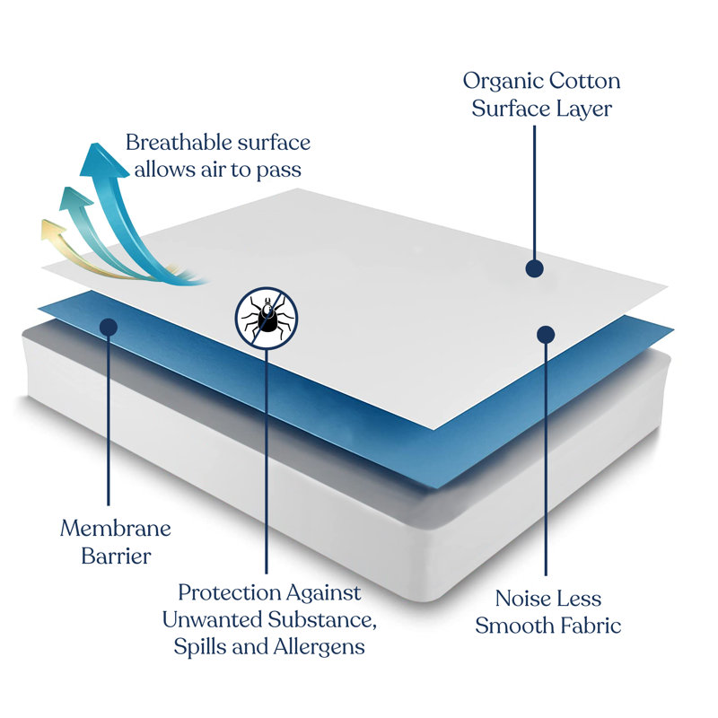 Delara Organic Cotton Hypoallergenic Queen Pillow Protector
