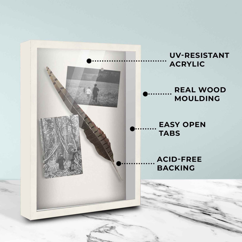 Betzayda Solid Wood Shadow Box Picture Frame, White, 11" W x 18" H