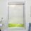 Sheer Roller Shade