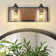 Dimmable Vanity Light with Seeded Glass