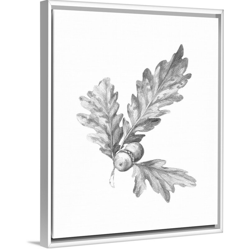 Chêne, feuille de croquis au crayon I, art mural, Toile avec cadre blanc, H 42 po x l 34 po