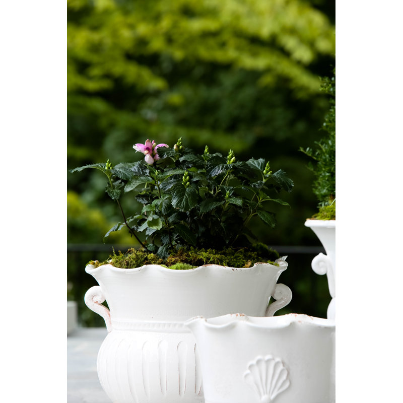 Rustic Garden Handmade Pot Planter