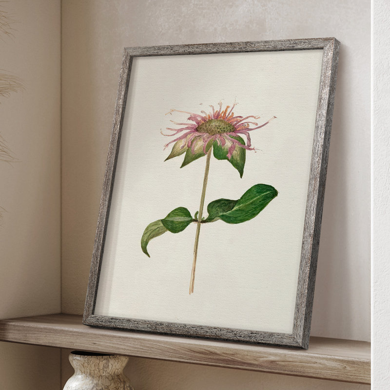Mauve Garden Flowers V, reproduction encadrée - bois massif, H 11 po x l 9 po