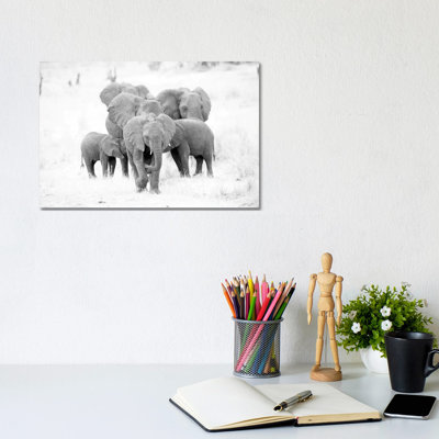 Elephant Family Black And White by David Whelan - Wrapped Canvas Gallery-Wrapped Canvas Giclée