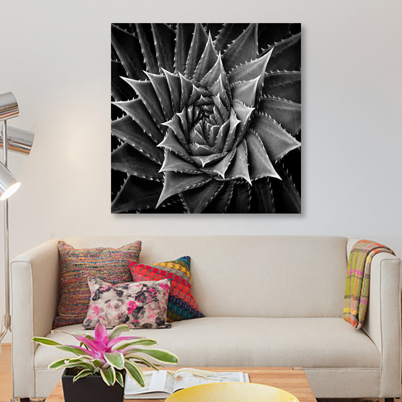 « succulent i », impression sur toile, H 37 po x l 37 po x P 1,5 po, Papier d'art encadré noir, Pas de tapis