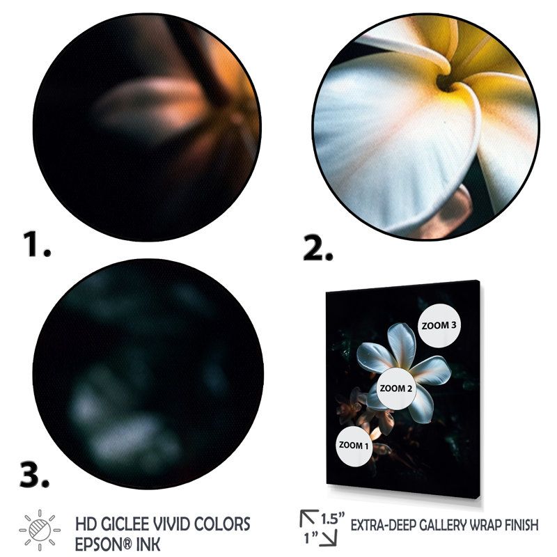 Blanc et noir exotique Plumeria Bloom III, Cadre simple argenté, H 32 po x l 24 po x P 1 po