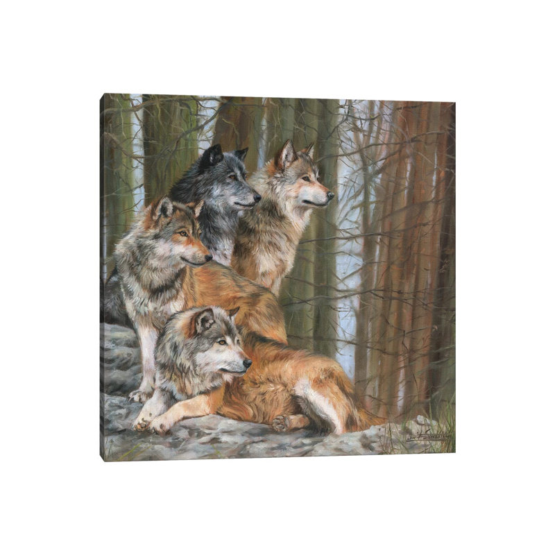 Four Wolves by David Stribbling - Wrapped Canvas Print, 93.98 cm H x 93.98 cm W x 3.175 cm D