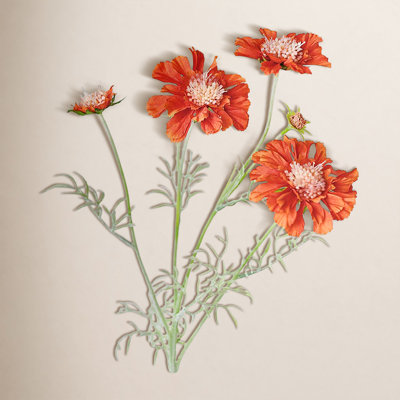 Audet Cornflower Stems