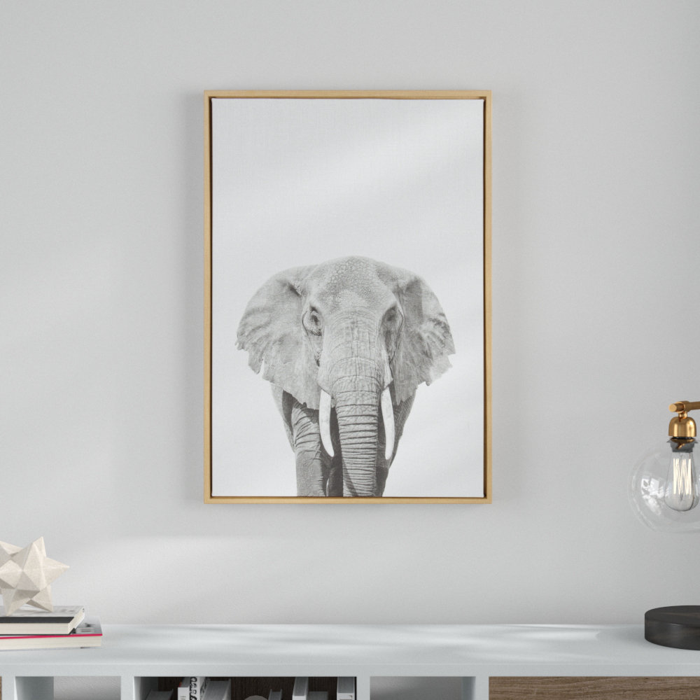 Audel " Elephant Black And White Animal " by Simon Te Of Tai Prints Ebern Designs