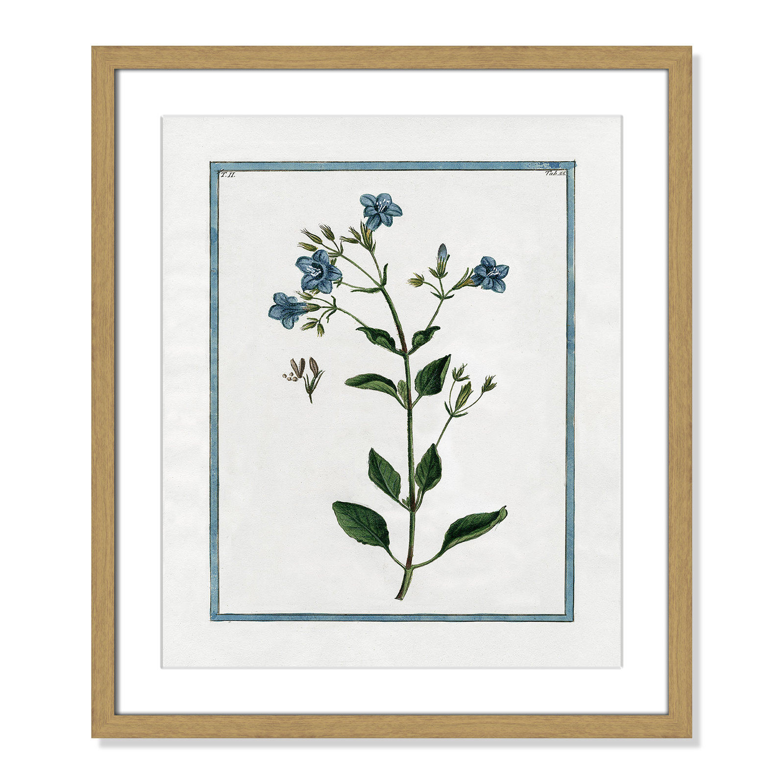 Shabby Elegance Botanical II - Framed Art, 16" W x 19" H, Natural Framed