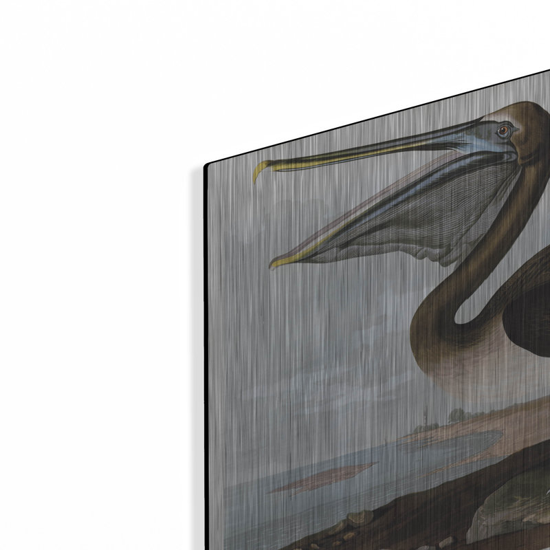  «Brown Pelican» par Stellar Design Studio, art mural en métal, 16 po x 12 po, H 12 po x l 16 po