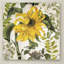 "Jadaya Carina II" par Color Bakery, impression sur toile tendue-20506304
