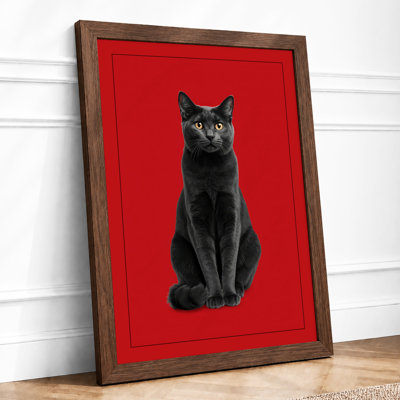 Striking Black Cat Modern - Print
