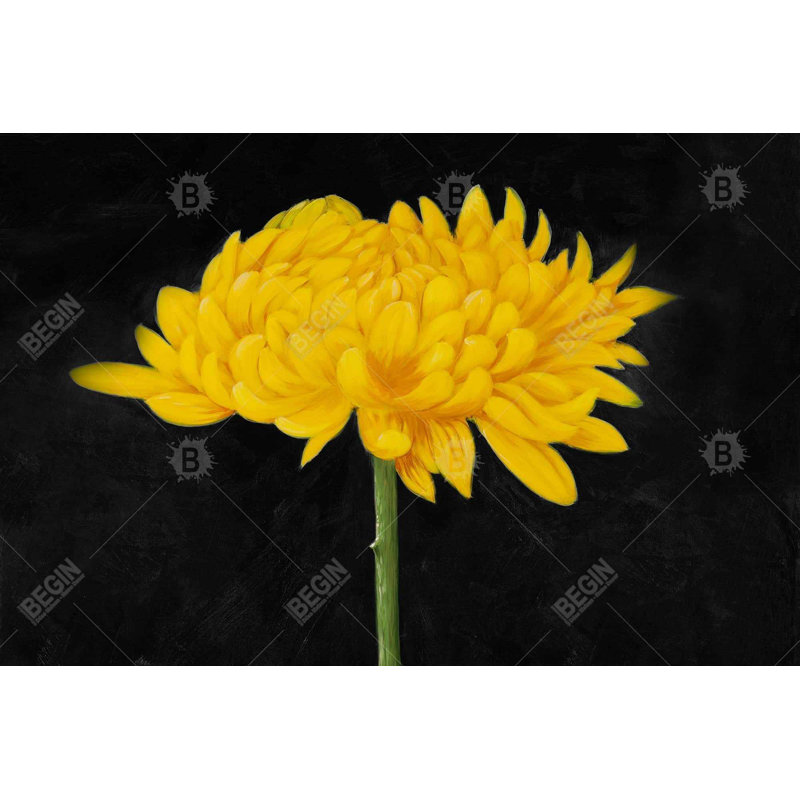 «Yellow Flower In The Dark» sur toile