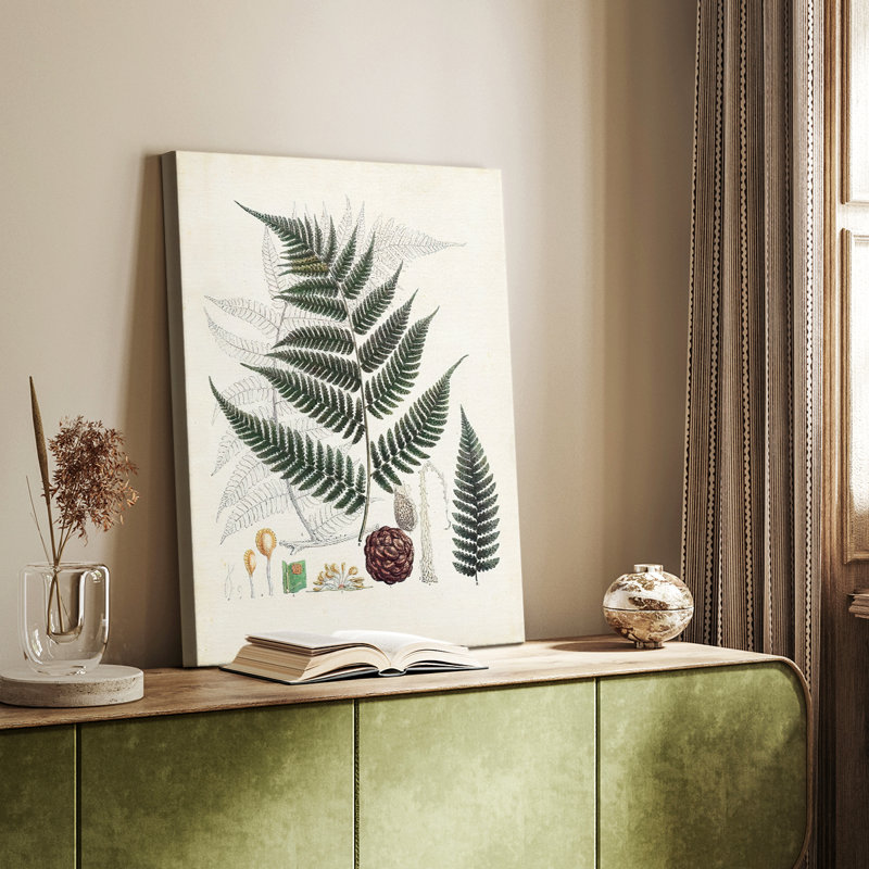 Collectionné fougères VI - galerie Cavas sur mesure, H 27 po x l 18 po