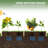 Aidelyn Wood Planter Box