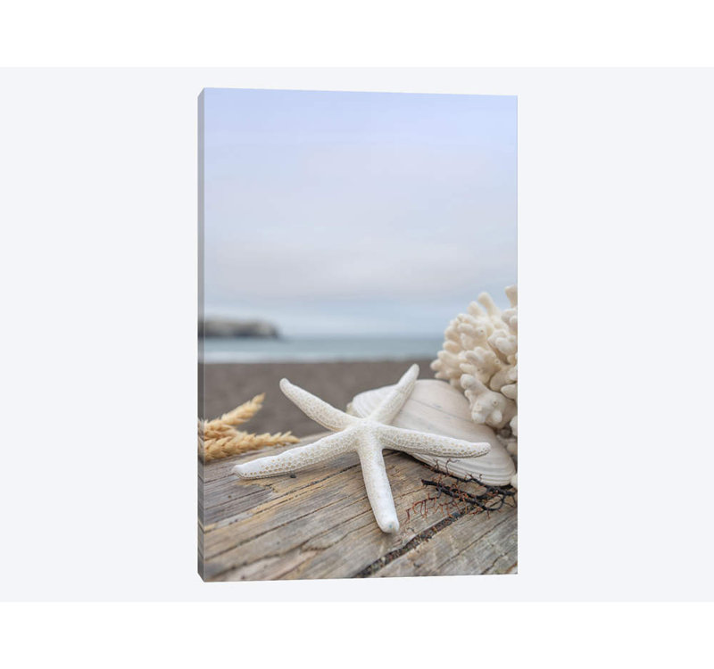 Alan Blaustein - Wrapped Canvas Print, 66.04 cm H x 45.72 cm W x 3.175 cm D