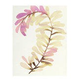 Plants VIII Print by Hable Construction