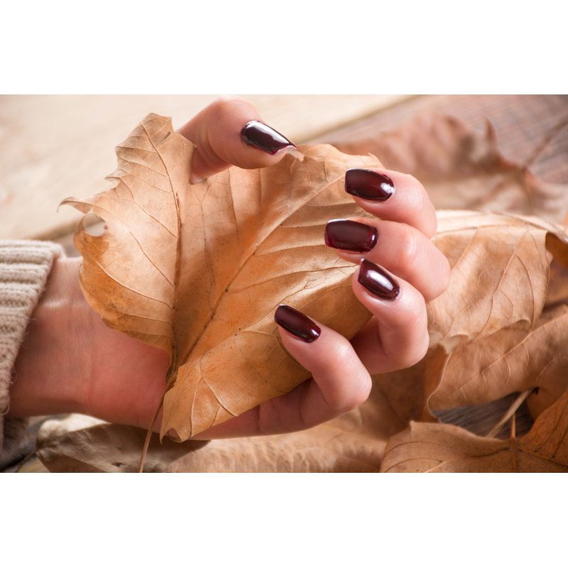 Woman Holding Dry Leaf by Emilija Randjelovic - Wrapped Canvas Print, 30cm H x 46cm W x 3.8cm D