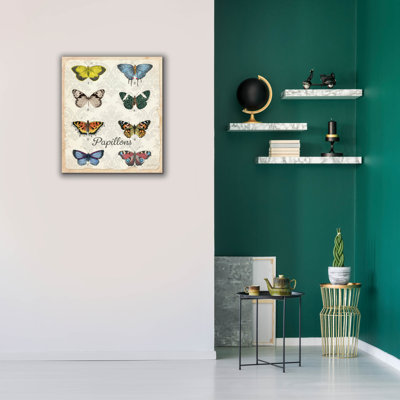  «Beautiful Papillon Study A» par Jean Plout, art mural sur toile, 26 po x 30 po
