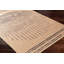 Diana Moroccan Tan Area Rug-558768815