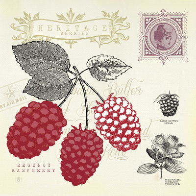 Raspberry Notes