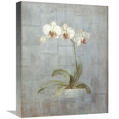 " Elegant Orchid II "
