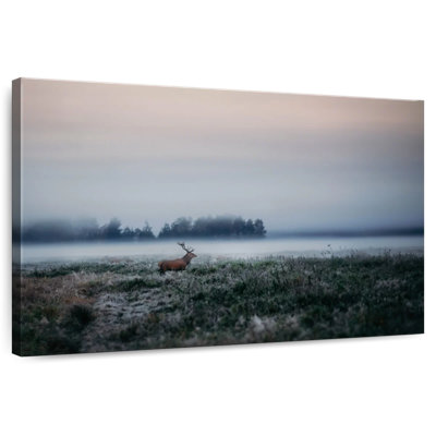 Cerf brume matinale Alvord