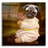 " Tommy Boy " by Martine Roch-1624925935
