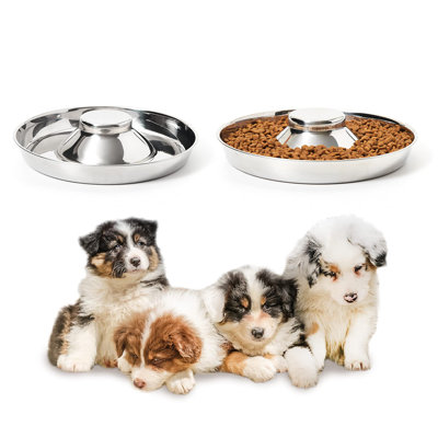 Bol à chiots en acier inoxydable, ensemble de 2 mangeoires pour chiots, bol pour nourriture et eau pour chiens, nourriture