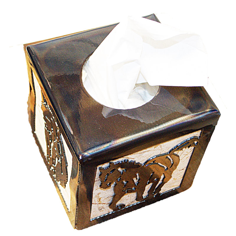 HORSE TISSUE COVER