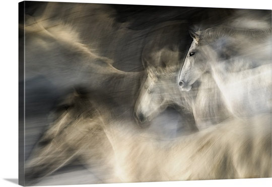 «In Motion» de Straub par Milan Malovrh, impression, H 12 po x l 18 po x 1,5 po, Toile